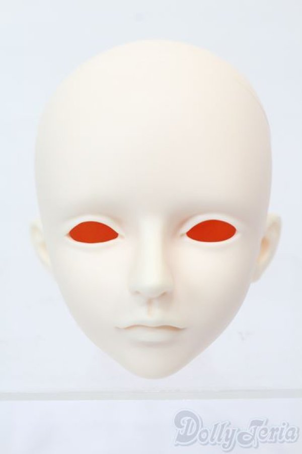 画像1: LUTS/Senior65 Delf XYLON　ヘッド S-25-03-30-451-GN-ZS (1)