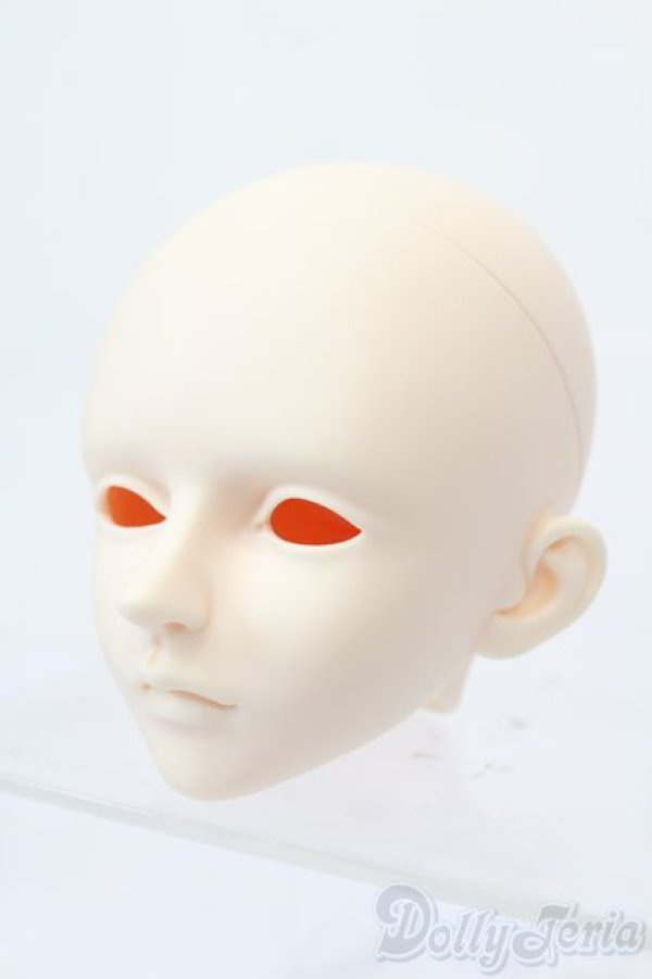 画像2: LUTS/Senior65 Delf XYLON　ヘッド S-25-03-30-451-GN-ZS (2)