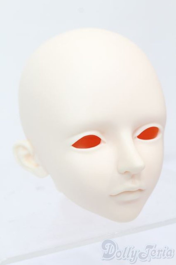 画像3: LUTS/Senior65 Delf XYLON　ヘッド S-25-03-30-451-GN-ZS (3)