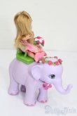 画像5: マテルバービー/Barbie As The Island Princess Kelly Doll Set S-25-08-24-539-GN-ZS (5)
