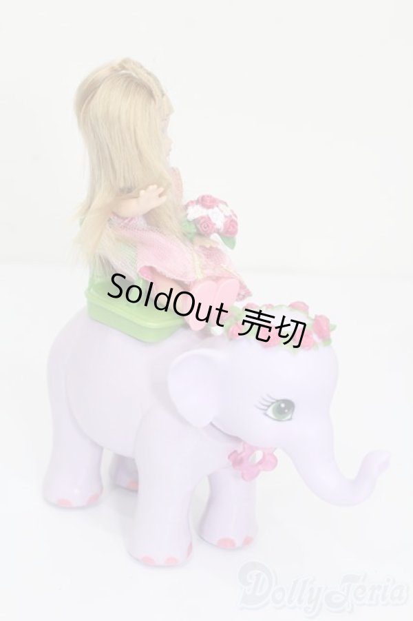 画像5: マテルバービー/Barbie As The Island Princess Kelly Doll Set S-25-12-28-407-GN-ZS (5)