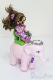 画像5: マテルバービー/Barbie As The Island Princess Kelly Doll Set S-25-08-24-540-GN-ZS (5)
