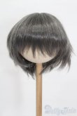 画像1: 8-9inch/ウィッグ S-25-05-11-190-GN-ZS (1)