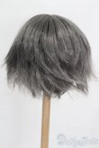 画像2: 8-9inch/ウィッグ S-25-05-11-190-GN-ZS (2)
