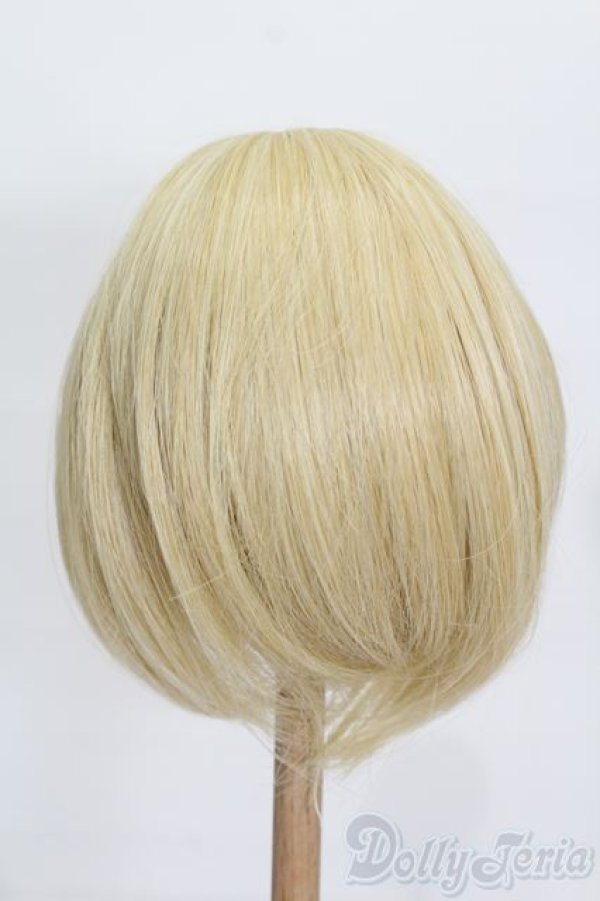 画像2: 8-9inch/ウィッグ S-25-12-14-303-GN-ZS (2)