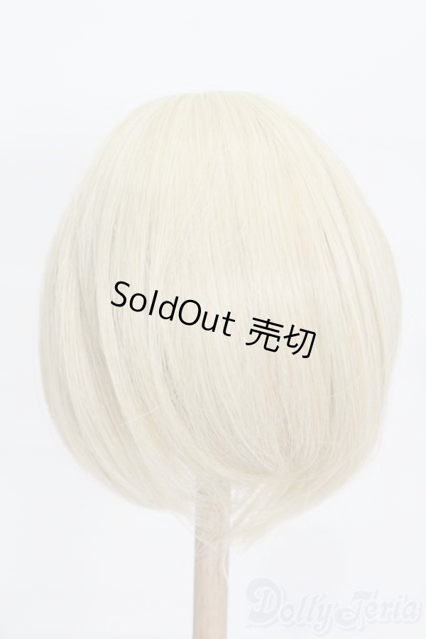 画像2: 8-9inch/ウィッグ S-25-12-14-303-GN-ZS (2)