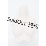 画像: DDS/上半身パーツ S-25-06-29-769-GN-ZS