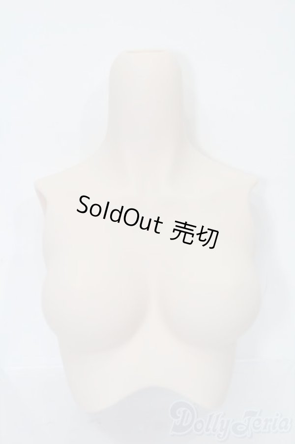 画像1: DDS/上半身パーツ S-25-06-29-769-GN-ZS (1)