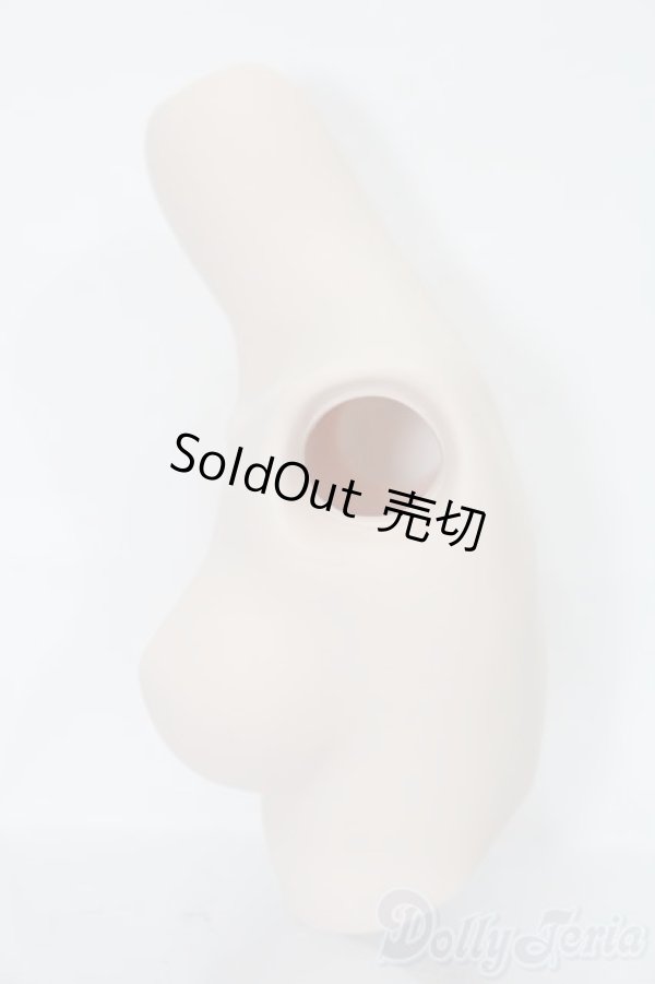 画像2: DDS/上半身パーツ S-25-06-29-769-GN-ZS (2)