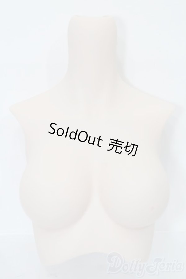 画像1: DD/上半身パーツ S-25-10-05-348-GN-ZS (1)