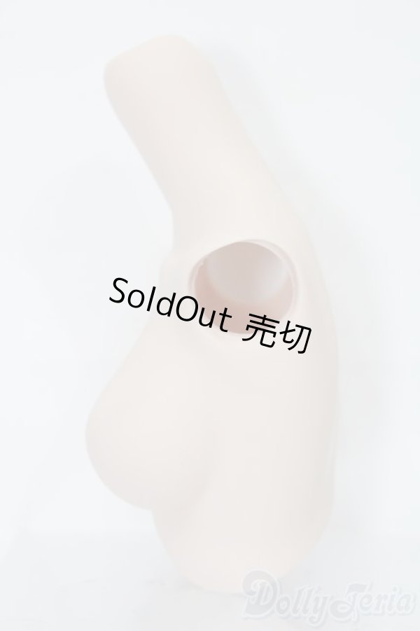 画像2: DD/上半身パーツ S-25-10-05-348-GN-ZS (2)