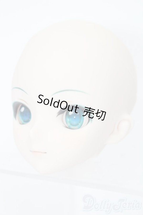 画像2: DD/初音ミク ヘッド S-25-02-23-189-GN-ZS (2)