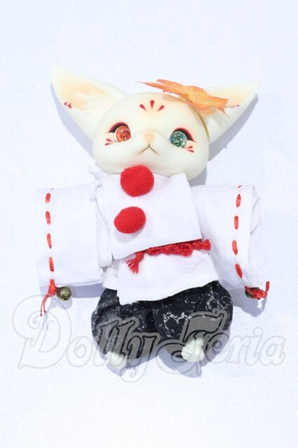 画像5: DOLK×DearMine/Maple LINCOLN bean ~10th Anniversary OSAKA~B type Makeup S-26-10-25-020-GN-ZS (5)