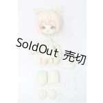 画像: SIO2/Civet Cat - Bridal Flower Limited - NIJICO 2019 S-25-04-13-585-GN-ZS