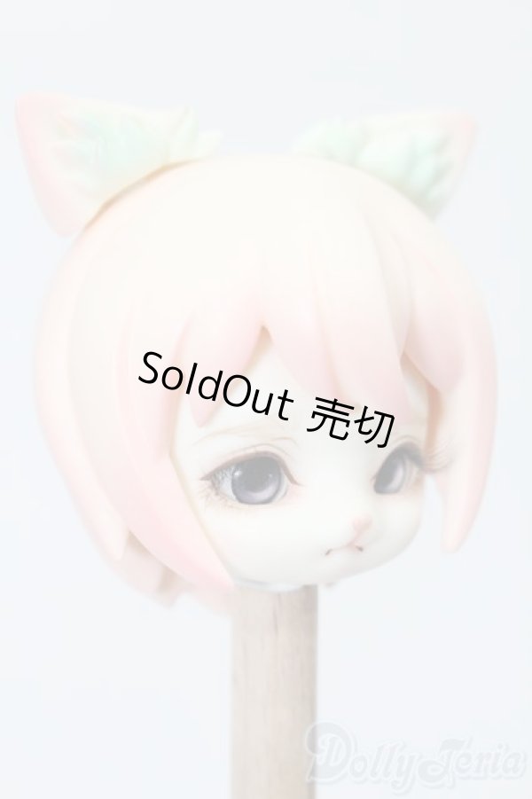 画像5: SIO2/Civet Cat - Bridal Flower Limited - NIJICO 2019 S-25-04-13-585-GN-ZS (5)