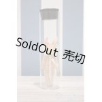 画像: 【新宿マルイアネックス店 店頭販売商品】1/12サイズドール/OF:小物 2100150000005941-ZM