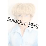 画像: バービー/ファッショニスタ ケン S-25-03-02-175-GN-ZS