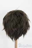 画像2: 9-10inch/ウィッグ S-25-05-04-294-GN-ZS (2)