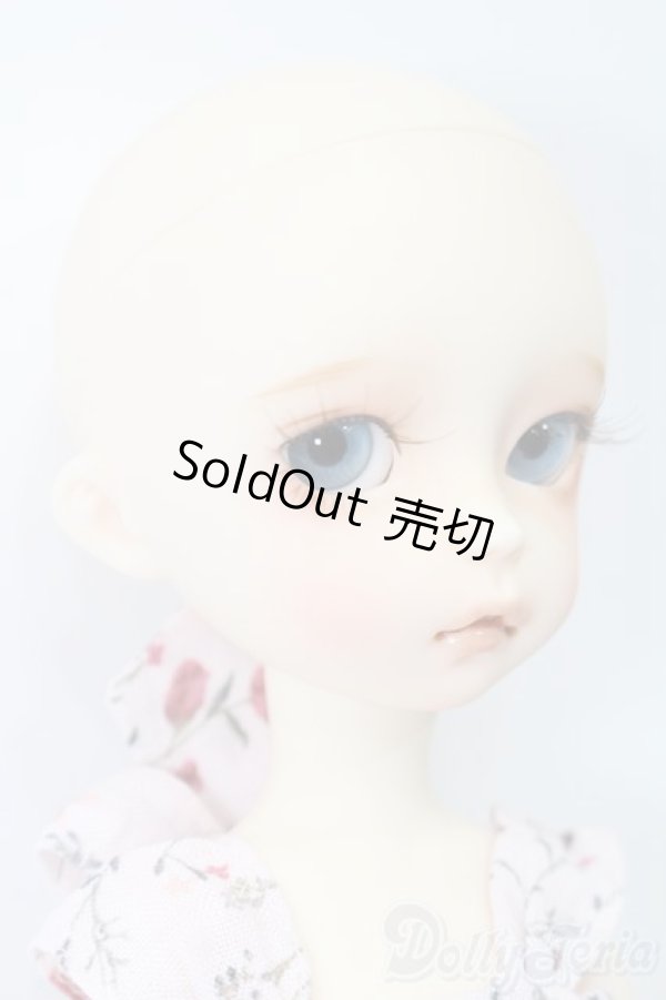 画像4: iMda DOLL 2.6/Amellia S-25-03-09-008-GN-ZS (4)