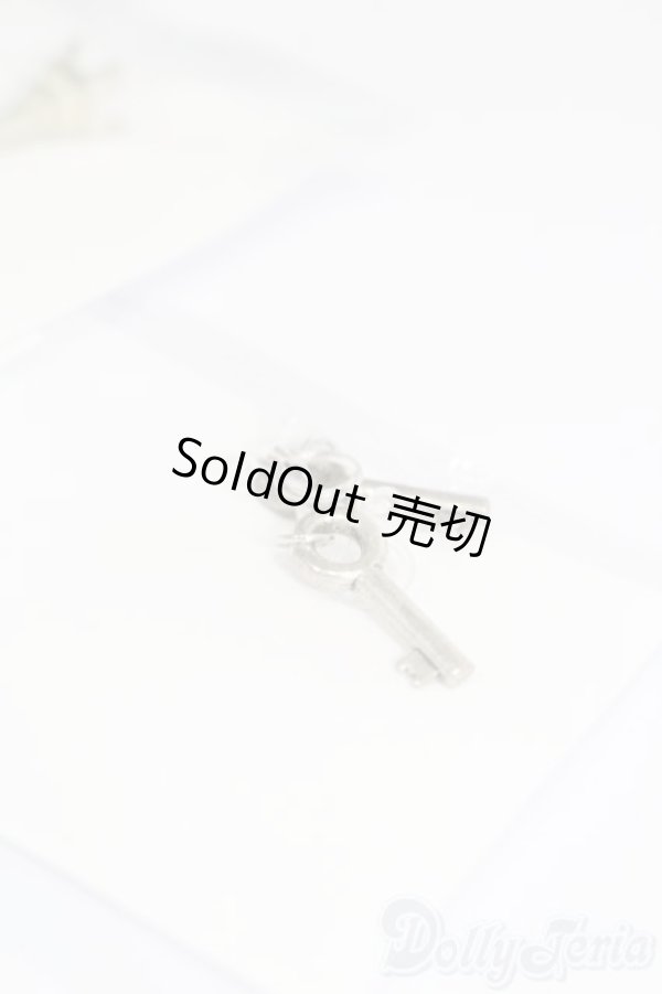 画像4: SDM＆MSD/OF:小物 S-25-11-09-353-GN-ZS (4)