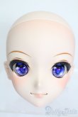 画像1: DD/DDH-09 カスタムヘッド S-25-05-11-564-GN-ZS (1)