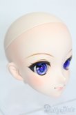 画像3: DD/DDH-09 カスタムヘッド S-25-05-11-564-GN-ZS (3)