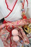 画像4: MDD/OF:衣装セット S-25-03-30-040-GN-ZS (4)