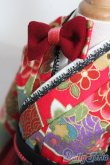 画像4: SD/OF:紅色小町 S-25-03-16-287-GN-ZS (4)