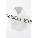 画像: 幼SD/OF:コウテイペンギンのあかちゃんセット・ちび S-25-03-16-049-GN-ZS