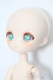 画像3: PARABOX/カスタムドール S-25-03-16-024-GN-ZS (3)