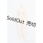 画像: DOLLBOTTOM/DBCボディ　高可動ボディタイプ S-25-03-09-113-GN-ZS
