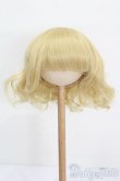 画像1: 9-10inch/ウィッグ S-25-04-20-348-GN-ZS (1)