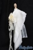 画像2: MDD/OF:衣装セット S-25-04-27-407-GN-ZS (2)