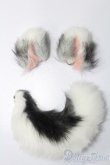 画像1: MDD/OF:小物 S-25-03-16-099-GN-ZS (1)