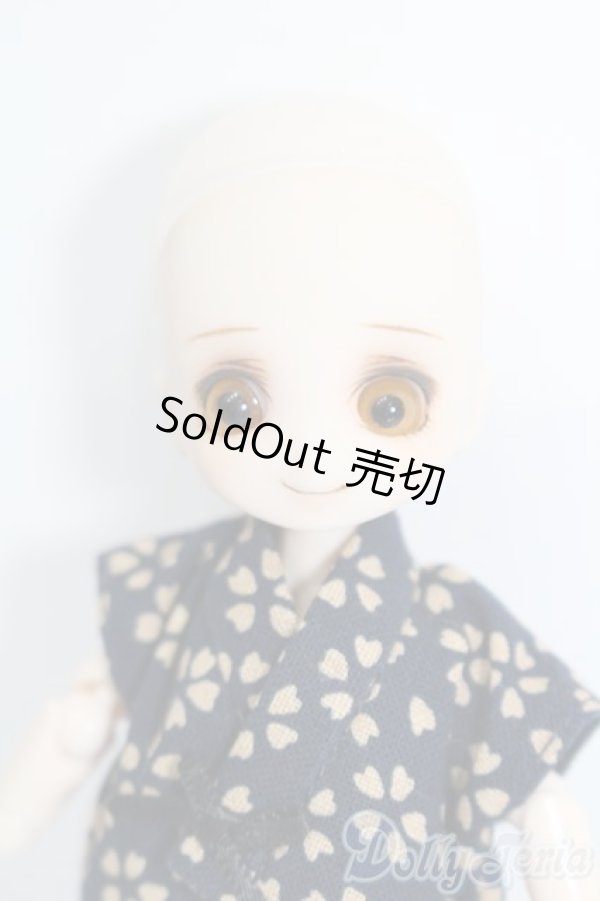 画像1: ミニスウィーツドール/本体＆衣装 S-25-11-16-431-GN-ZS (1)