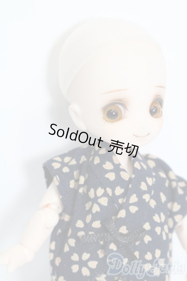 画像3: ミニスウィーツドール/本体＆衣装 S-25-11-16-431-GN-ZS (3)
