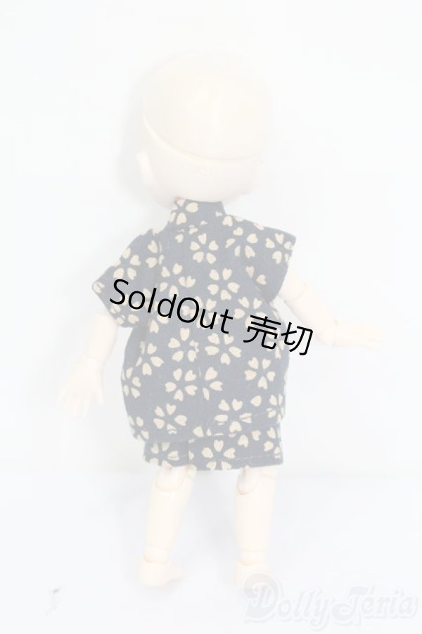 画像5: ミニスウィーツドール/本体＆衣装 S-25-11-16-431-GN-ZS (5)