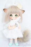 画像4: オビツ11ボディ/カスタムヘッド S-25-03-16-242-GN-ZS (4)