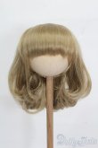 画像1: 9-10inch/ウィッグ S-25-04-13-278-GN-ZS (1)