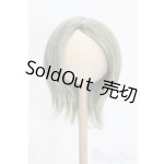 画像: 8-9inch/ウィッグ S-25-05-04-289-GN-ZS