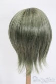 画像2: 8-9inch/ウィッグ S-25-05-04-289-GN-ZS (2)