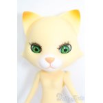 画像: おでこちゃんとニッキ/ゆめみるニッキ S-25-04-27-476-GN-ZS