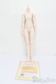 画像3: MDD/ベースボディ2.0 S-25-03-16-178-YB-ZS (3)