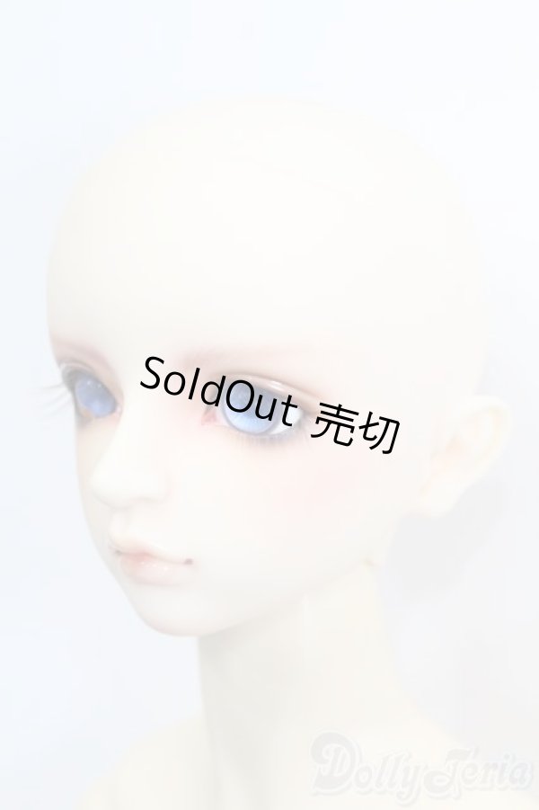 画像3: SDGr男の子/フルチョイス:F-65 S-25-06-22-562-GN-ZS (3)