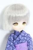 画像3: PARABOX/PB21-03ヘッド+オビツ11ボディ S-25-03-23-232-GN-ZS (3)
