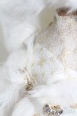 画像4: 40cmドール/OF:snow Queen special dress set NINE9　STYLE製 S-25-06-15-091-GN-ZS (4)