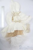 画像5: 40cmドール/OF:snow Queen special dress set NINE9　STYLE製 S-25-06-15-091-GN-ZS (5)