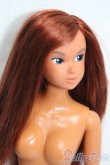 画像3: momokoDOLL/momoko ver.03SSor S-25-03-23-177-GN-ZS (3)