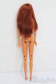 画像5: momokoDOLL/momoko ver.03SSor S-25-03-23-177-GN-ZS (5)