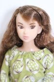画像1: momokoDOLL/momoko ver.02KF S-25-03-23-178-YB-ZS (1)